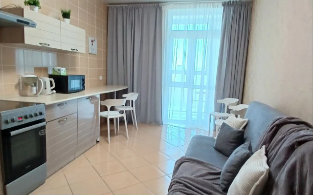 Квартира с видом на центральный стадион