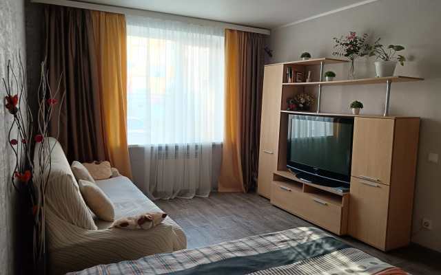 Квартира Уютная