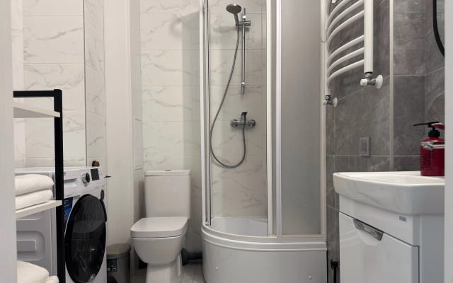 Dizaynerskaya studiya na Shevtsovoy 49A Flat