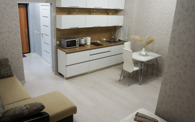 Svetlaya I Uyutnaya Studiya V ZhK Stary Tsentr Apartments
