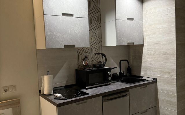 Uyutnaya Studiya V Serdtse Yaroslavlya Flat