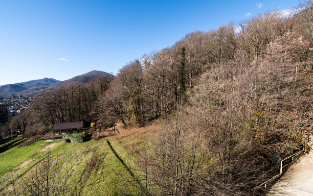 Oplot - Vidovye s odnoj spal'nej i balkonom 7  Apartments