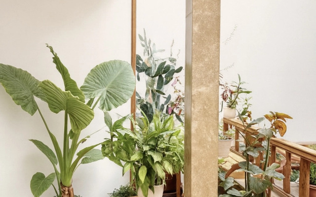 Отель Old Yerevan