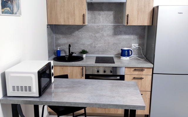 Studiya Na Veteranov Apartments