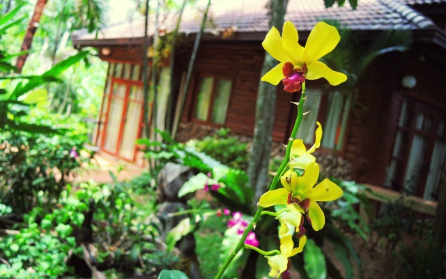 Polina Park Mini Hotel