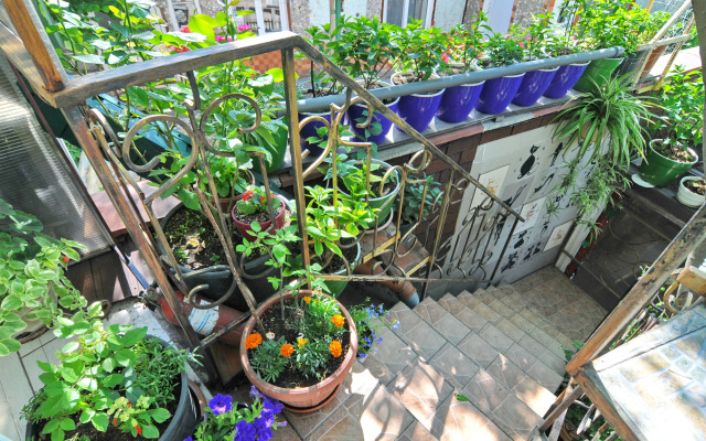 Гостевой дом Роман и Светлана