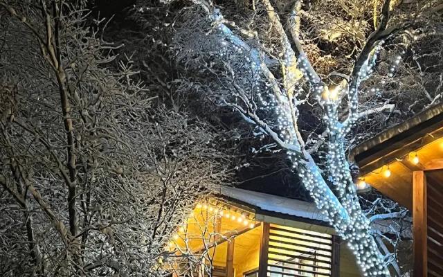 Veselye Gusi Glamping