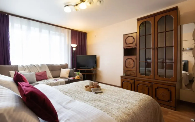 Апартаменты 2 комнатные с балконом в центре города, рядом Парк Победы - фото 3