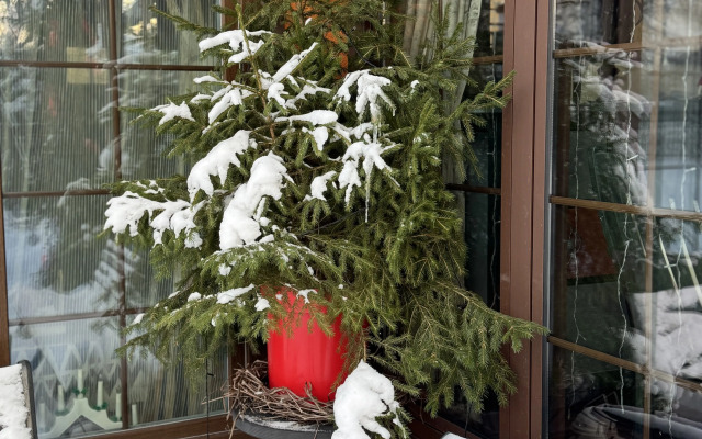 VGostiPetergof Guest house