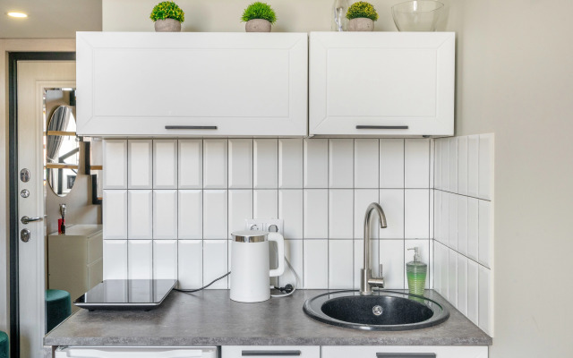 Квартира Студия с видом на Владимирский проспект