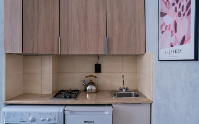 Apartamenty Studiya Standartnaya Kazanskaya 11