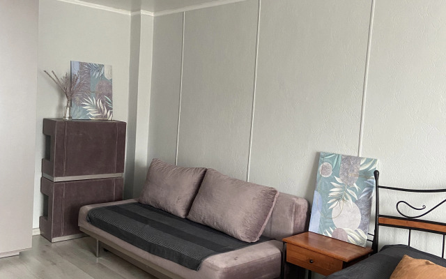 Квартира 1-к на Сурикова 53