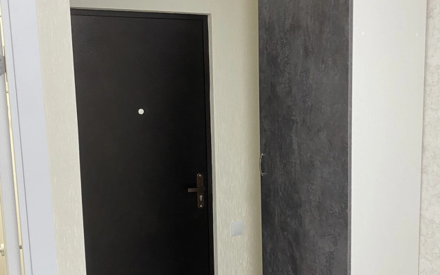 S Novym Remontom Studio Flat