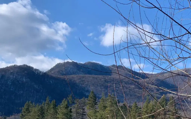 Шале Золотой родник