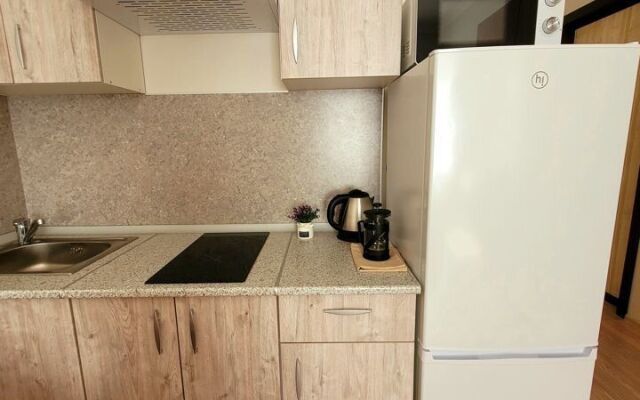 Квартира - студия в иcтoричeскoм цeнтре Санкт-Пeтеpбургa (4)