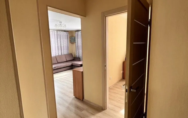 Апартаменты на улице Елизаровых 15/2