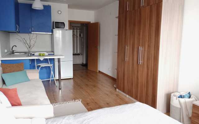 Na Nevskikh Beregakh Flat