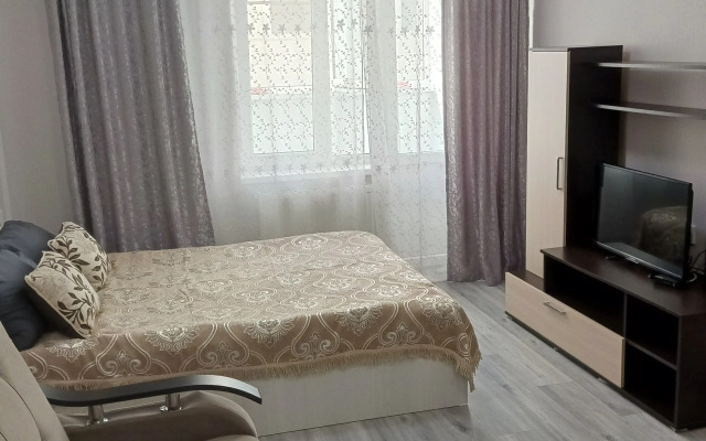Na Vinogradnoy 22/1B Apartments