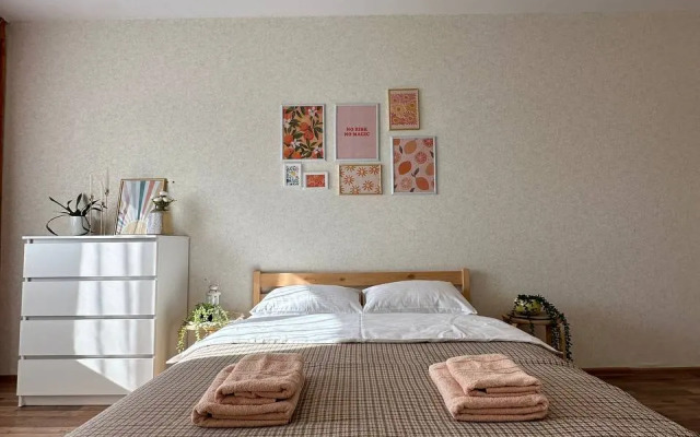 Квартира 3х-комнатная в Академе