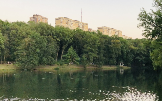 Bolshaya dvushka s otdelnymi komnatami Flat