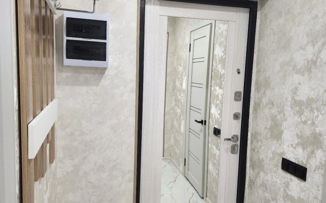 Квартира на Красноармейском Шоссе 17