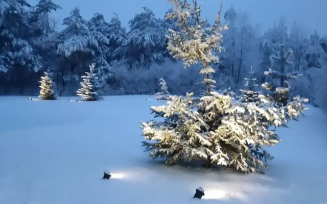 Отель Eco Forrest Club SPA