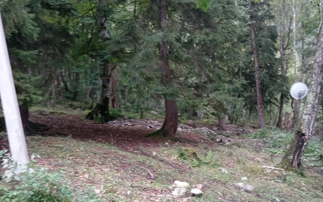 Частный дом Лесная аура