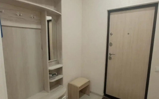 Квартира Татьяны Снежиной 42/1