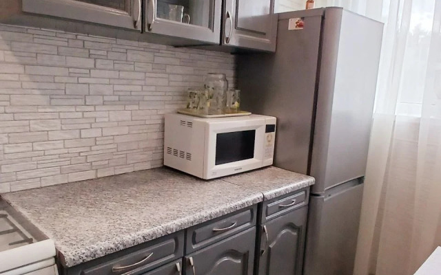 Квартира Двухкомнатная Большакова 99