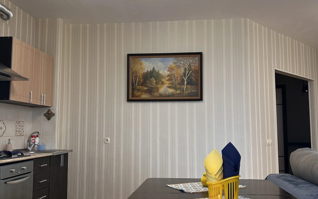 Prostornaya Uyutnaya V Tsentre Goroda Flat