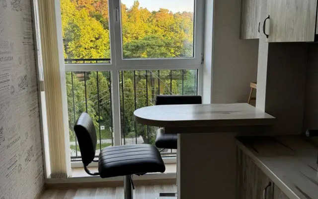 Дайкири — апартаменты с панорамными окнами и видом на озеро Тихое