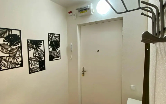 Uyutniye V Tsentralnom Rayone Apartments