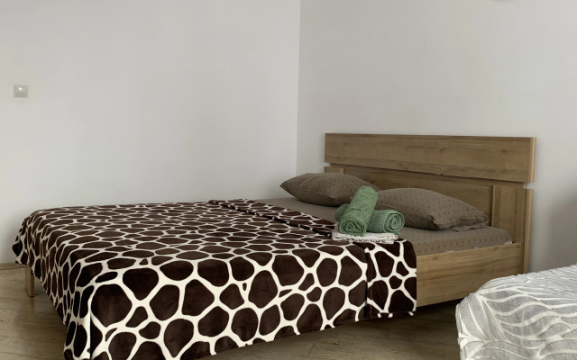 Prekrasnaya Vozle Kristalla Ryadom S Centrom Flat