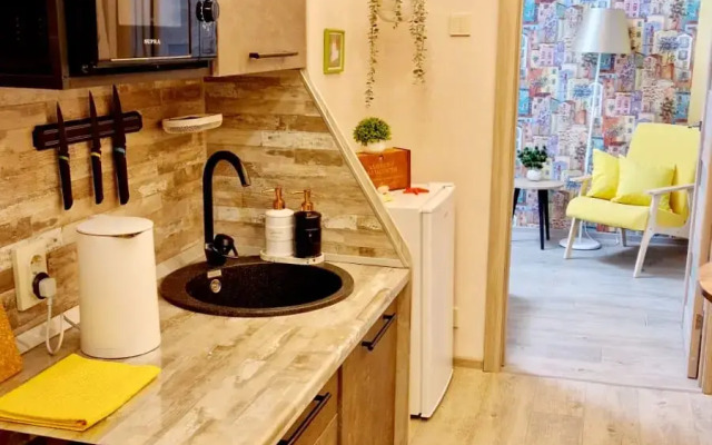 Квартира в центре на Пискунова