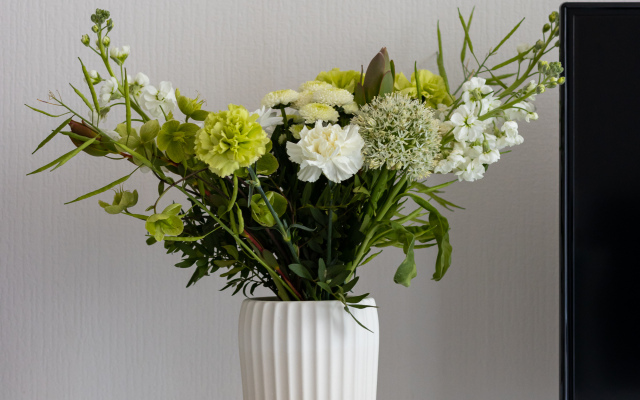 Квартира Пространство Зелёный Двуугольник