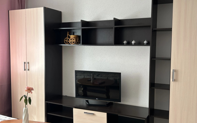 Апартаменты на проспекте Московском 209