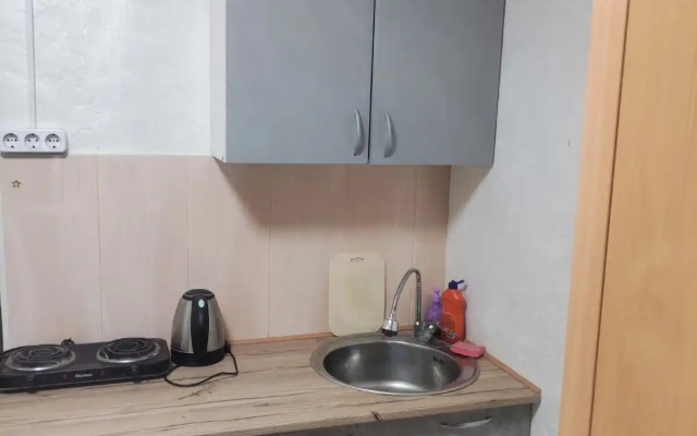 Апартаменты Просторная студия г.Раменское