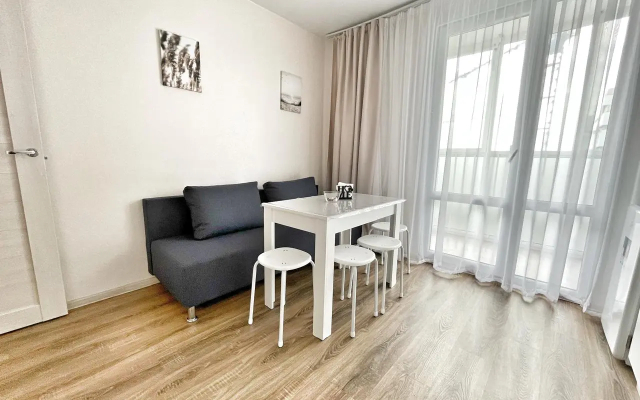 Квартира Елена Озерки