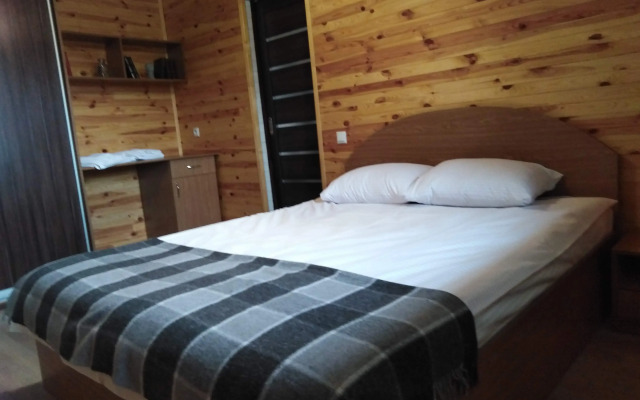 Апартаменты Olzhicha XXV