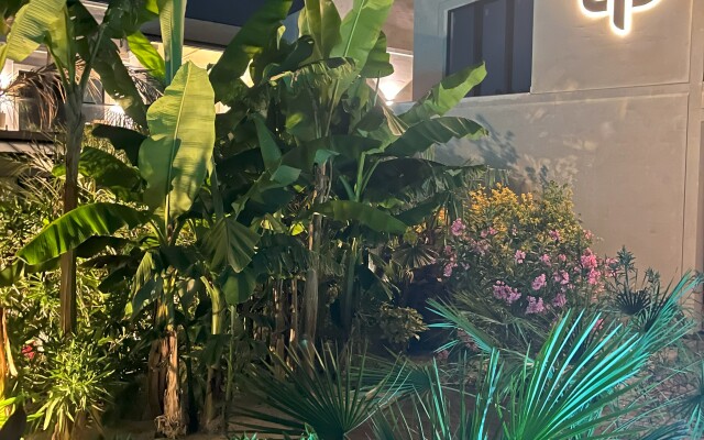 Little Palm Hotel