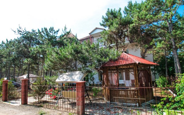 Aleksiya Guest House