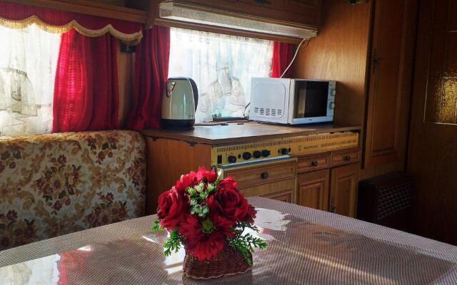 Тарусские Страницы