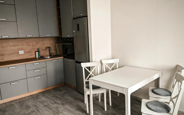 Avion Dimitrovskie Gorki Apartments
