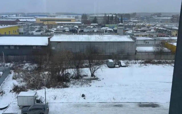 3-Kh Komnatnye U Aeroporta Apartments