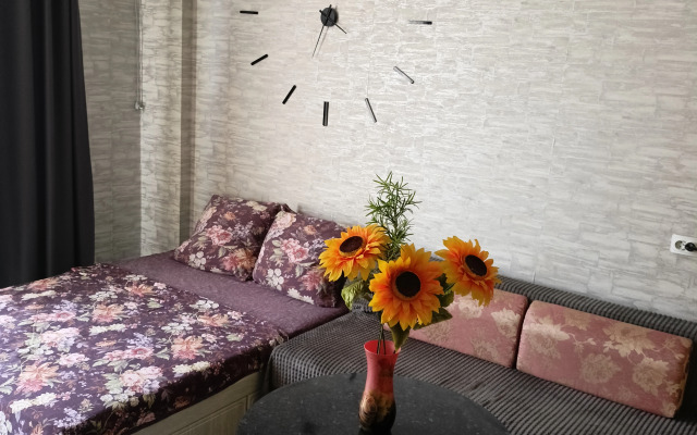 Квартира Студия в Новом Доме