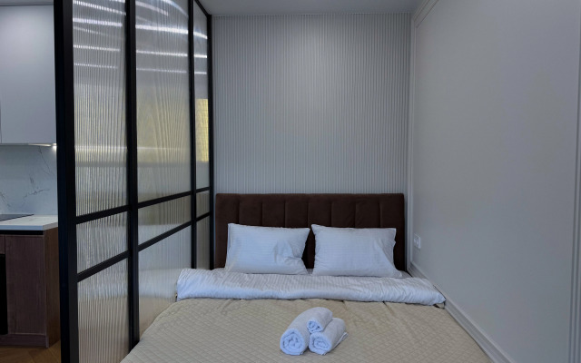 Studiya Premium Klassa S Dizaynerskim Remontom Flat