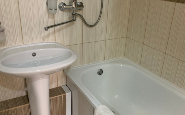 Апартаменты Apartanik