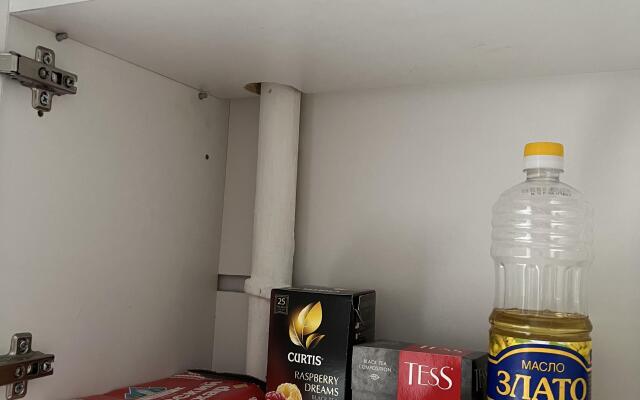 U Tsentralnogo Parka Apartaments