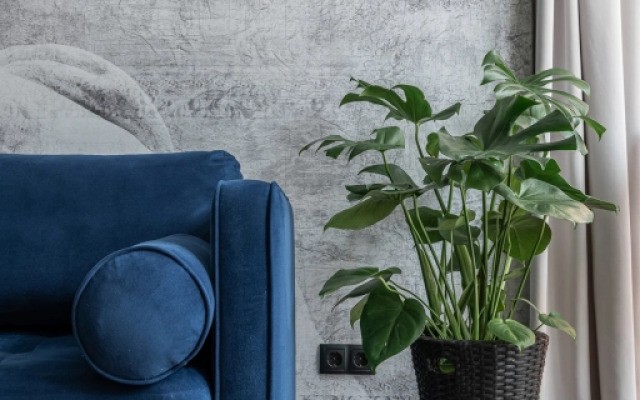 Квартира Двухкомнатный Люкс КВАРТ НЕВСКИЙ