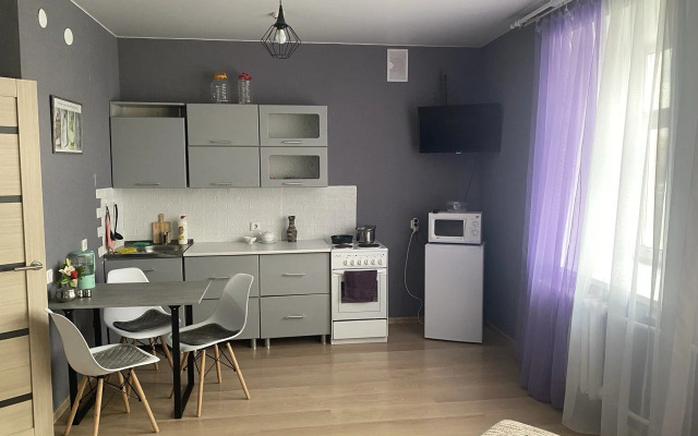Studiya v tsentre goroda Flat